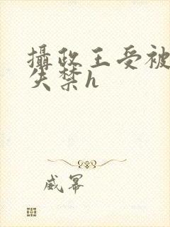 摄政王受被肉到失禁h