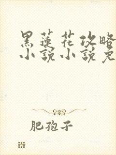 黑莲花攻略手册小说小说免费看
