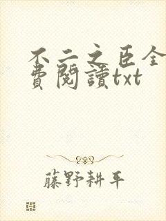 不二之臣全文免费阅读txt