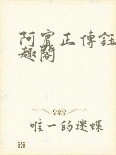 阿宾正传钰慧笔趣阁封面