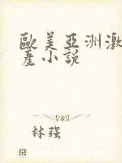 欧美亚洲激情国产小说