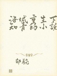 洛城重生下乡当知青的小说叫什么