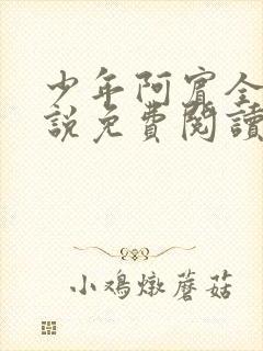 少年阿宾全文小说免费阅读笔趣阁