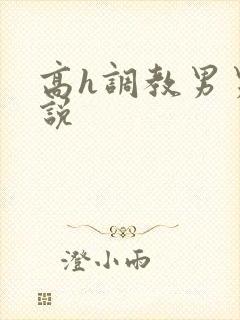 高h调教男男小说