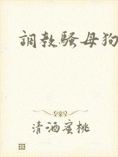 调教骚母狗欠操