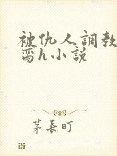 被仇人调教成禁脔h小说