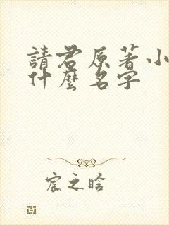 请君原著小说叫什么名字