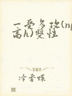 一受多攻(np高h)双性