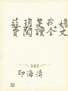 苏玥是我媳妇免费阅读全文无弹窗