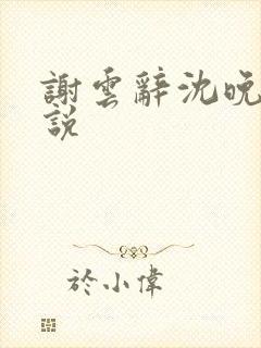 谢云辞沈晚梨小说封面