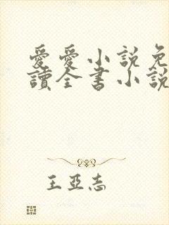 爱爱小说免费阅读全书小说乡村