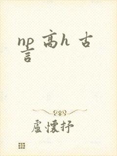 np 高h 古言封面
