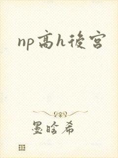 np高h后宫