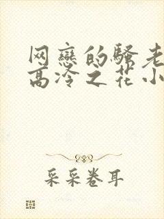 网恋的骚老婆竟高冷之花小说叫什么