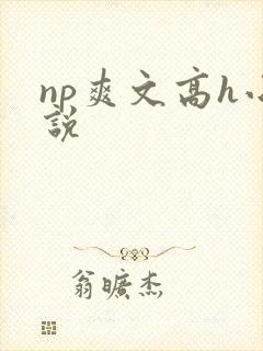 np爽文高h小说