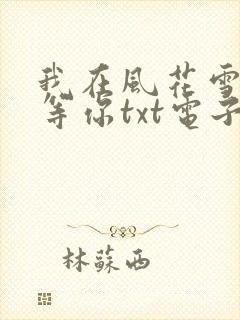 我在风花雪月里等你txt电子书