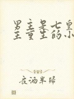 男主是七皇子女主重生的小说