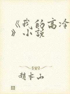 《我的高冷女神》小说