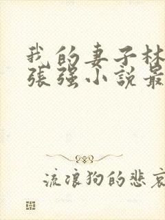 我的妻子林慧茹张强小说最新章节阅读封面