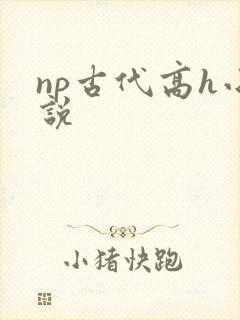np古代高h小说封面