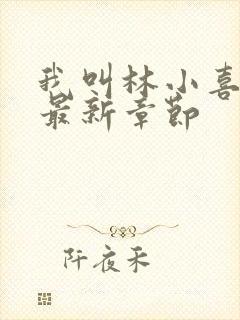 我叫林小喜17最新章节