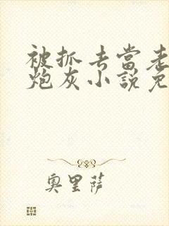 被抓去当老婆的炮灰小说免费阅读封面