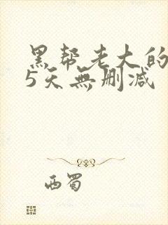 黑帮老大的365天无删减