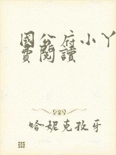 国公府小丫鬟免费阅读