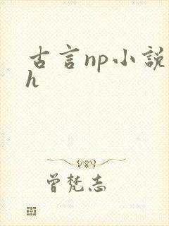 古言np小说高h封面
