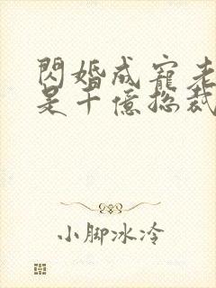 闪婚成宠老公竟是千亿总裁封面