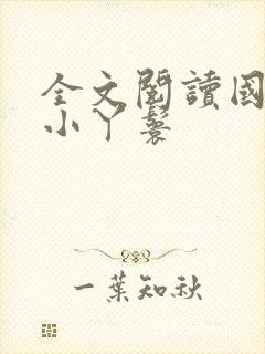 全文阅读国公府小丫鬟