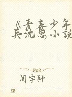 《青春少年》李兵沈思小说