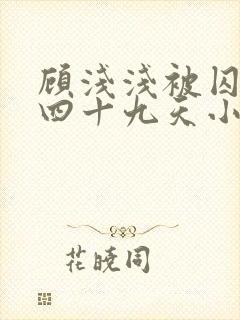 顾浅浅被囚禁的四十九天小说阅读