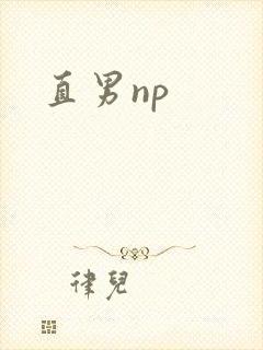 直男np封面