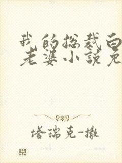 我的总裁白富美老婆小说免费阅读