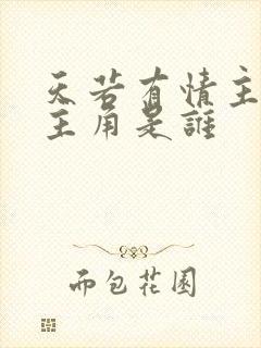 天若有情主演女主角是谁封面