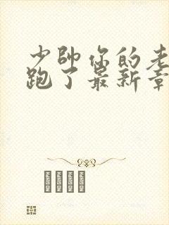 少帅你的老婆又跑了最新章节免费阅读