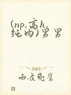 (np,高h,纯肉)男男封面