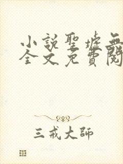 小说圣墟无弹窗全文免费阅读封面