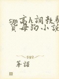 sm高h调教骚货母狗小说