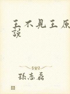 王不见王原著小说