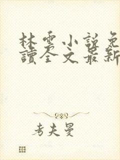 林云小说免费阅读全文最新