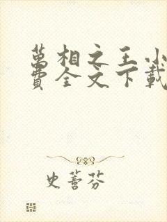 万相之王小说免费全文下载