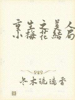 重生之美人是君小梅花结局封面