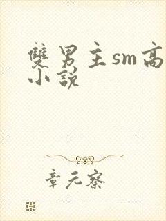 双男主sm高h小说