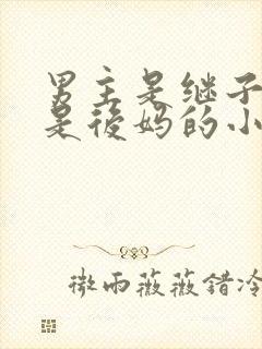 男主是继子女主是后妈的小说