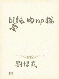 bl纯肉np总受