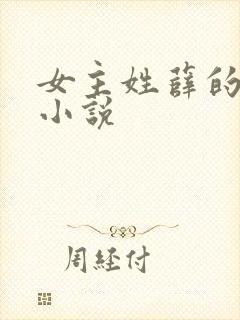 女主姓薛的现代小说封面