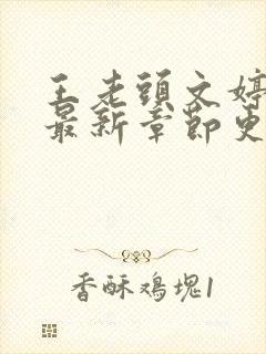 王老头文婷小说最新章节更新时间