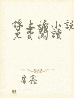 锦上娇小说全文免费阅读